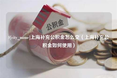 正定上海补充公积金怎么交（上海补充公积金如何使用）